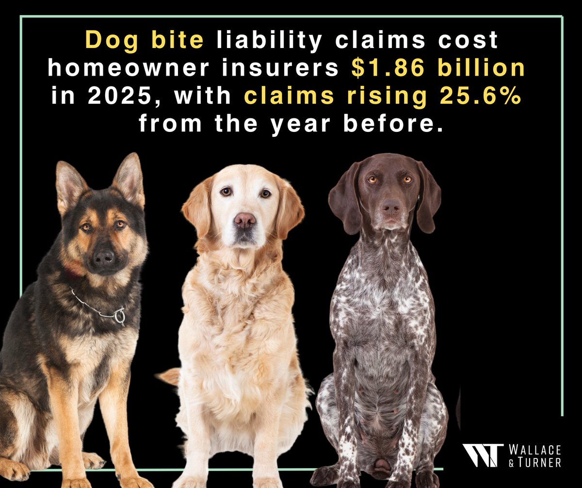 WTInsurance1870's tweet image. 🐾 About 4.5 million people are bitten by dogs every year in the U.S., most of them children.

𝘋𝘰𝘨 𝘉𝘪𝘵𝘦 𝘗𝘳𝘦𝘷𝘦𝘯𝘵𝘪𝘰𝘯 𝘞𝘦𝘦𝘬 is a good time to review your policy with your agent, and brush up on bite prevention tips: iii.org/article/spotli…

#dogbiteprevention