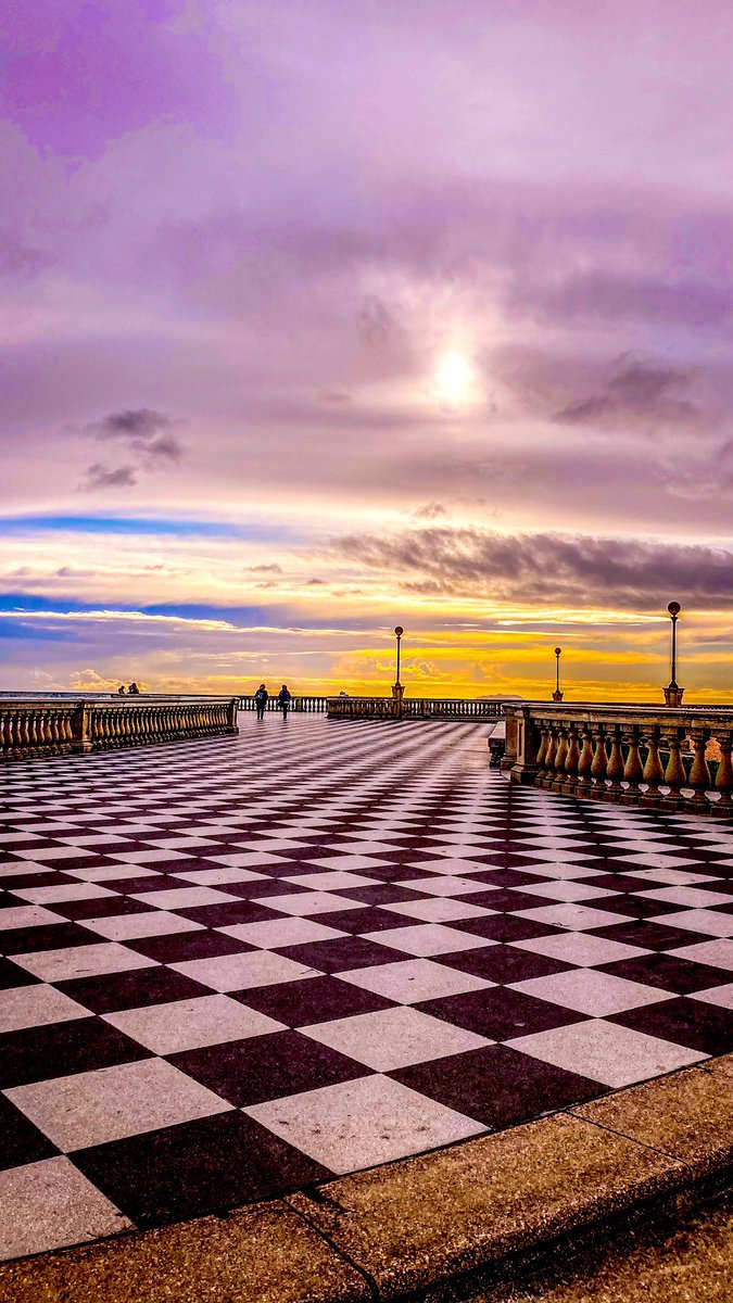 🥀BONA 🥀 tweet media