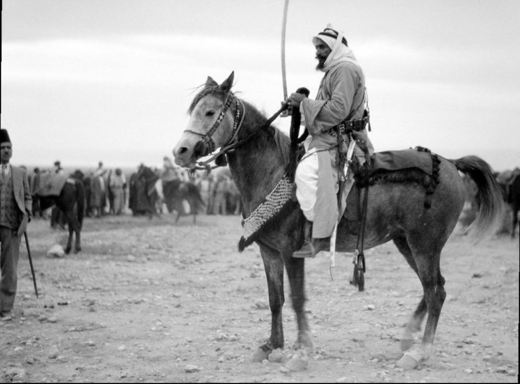 الفريدي tweet media