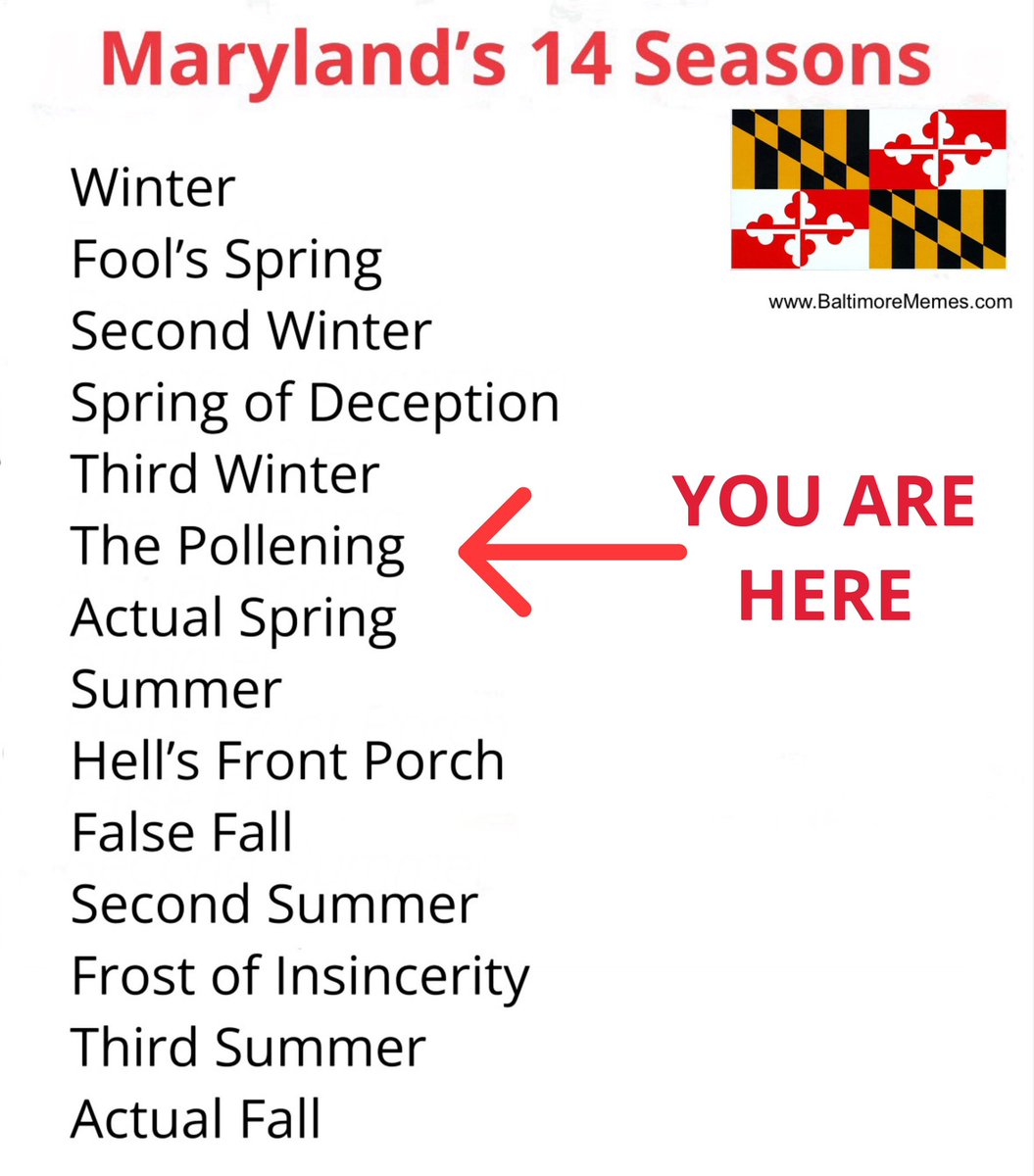 Baltimore Memes tweet media