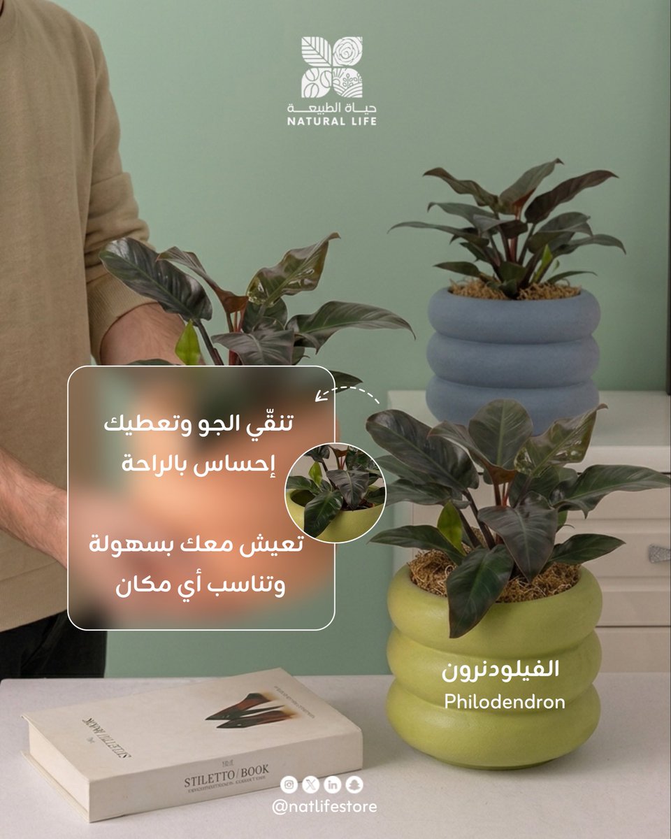 حياة الطبيعة | Natural Life tweet media