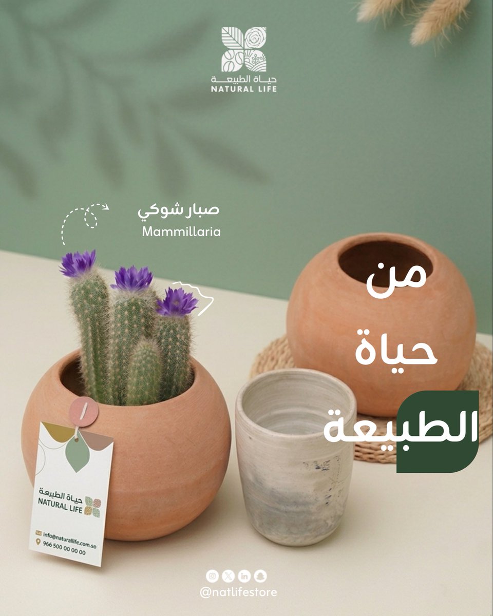 حياة الطبيعة | Natural Life tweet media