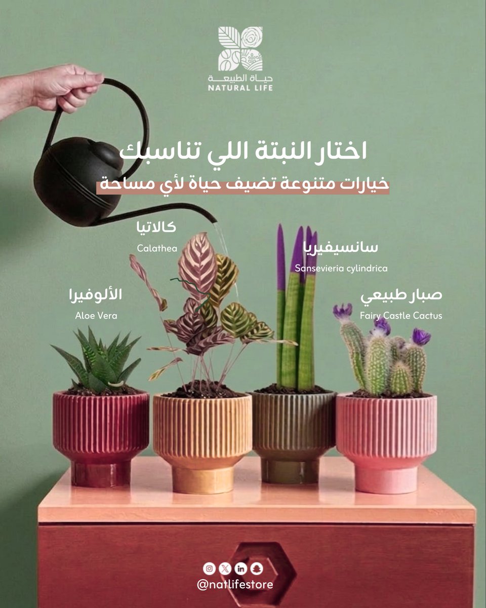 حياة الطبيعة | Natural Life tweet media