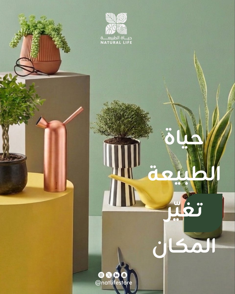 حياة الطبيعة | Natural Life tweet media