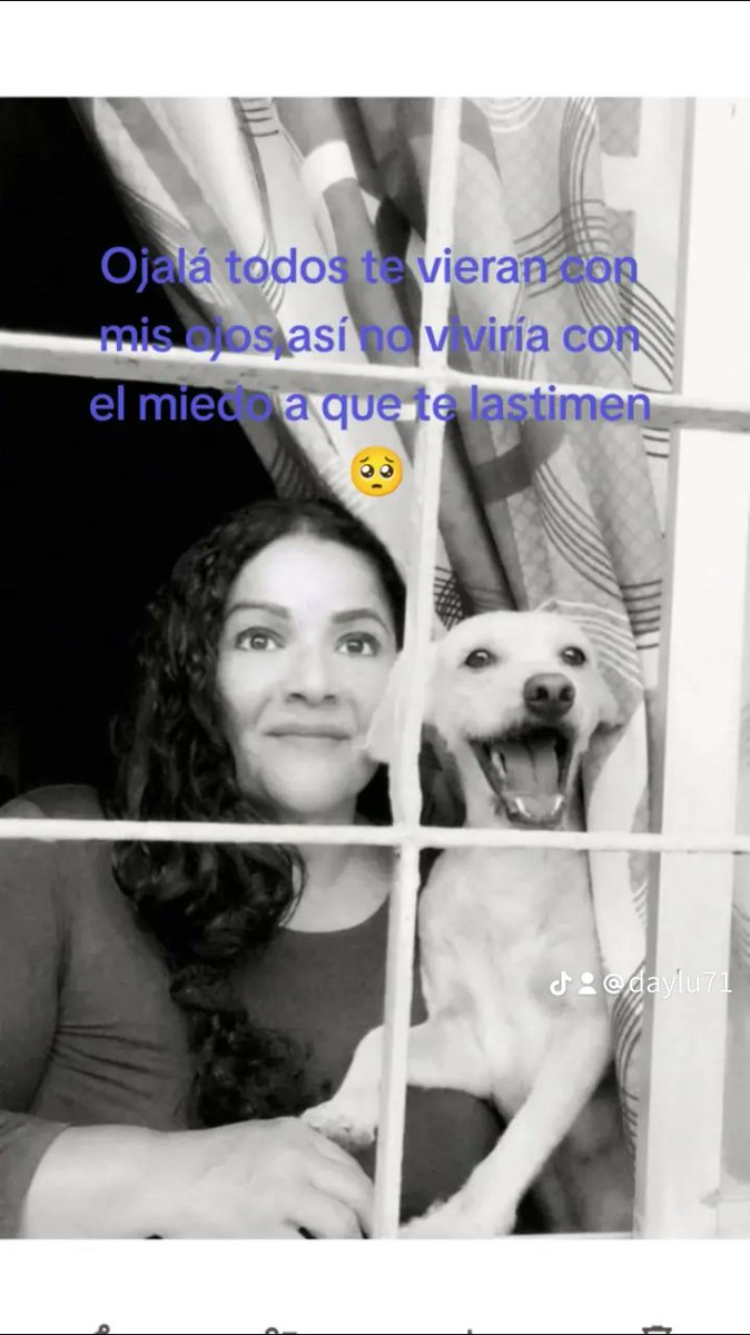 ALEXANDRA tweet media