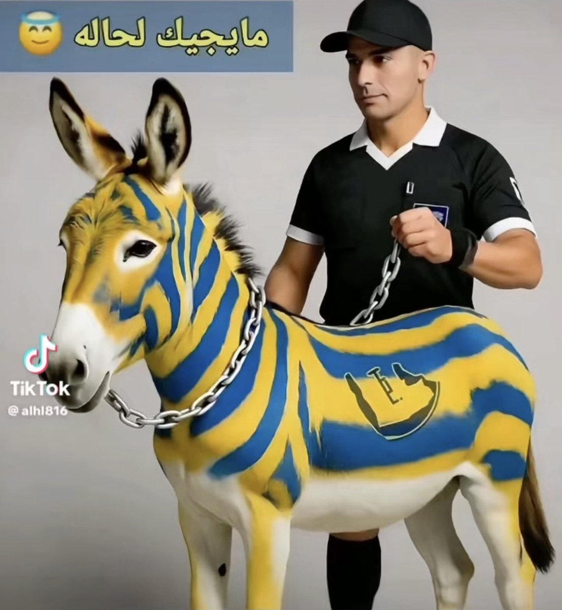 عبدالرحمن ابراهيم tweet media