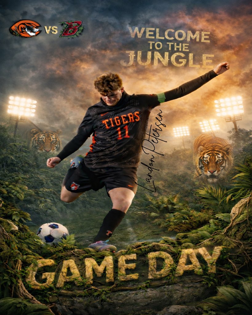 Tiger Vision tweet media