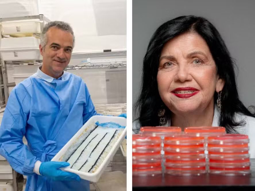 Não é apenas uma cientista brasileira que está na lista das 100 pessoas mais influentes do mundo, da Time. São dois. “Dois cientistas brasileiros entram na lista da Time de pessoas mais influentes do mundo
Mariangela Hungria, da Embrapa, criou microorganismos que ajudam plantas a