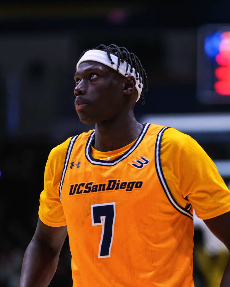 The Portal Report tweet media