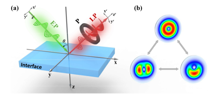 Bryan Kelly tweet media