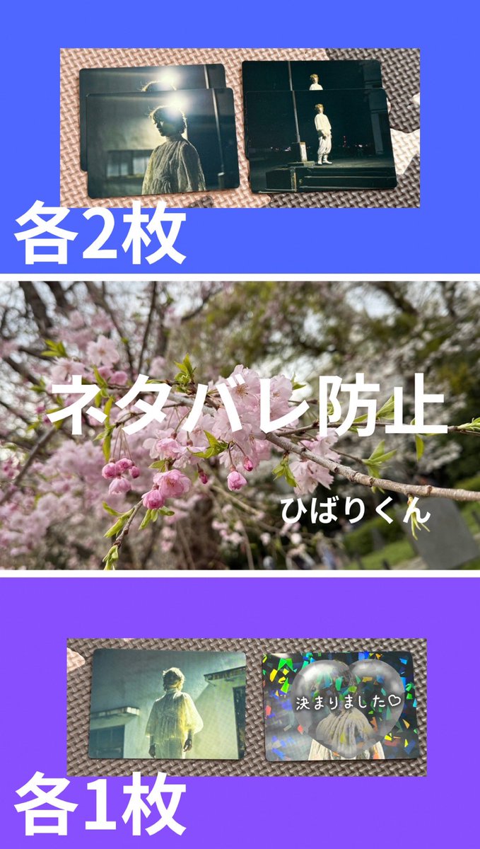 にのよ🐝💙🐈🐾👑🐝 tweet media