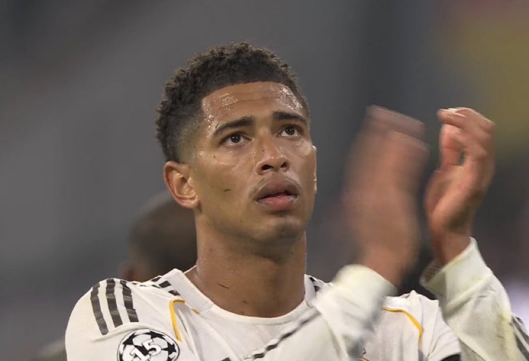 (fan) Marito 🐢 tweet media