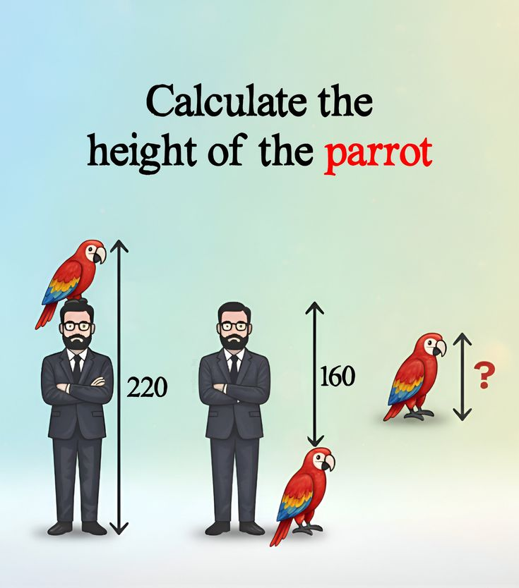 Math Hub tweet media