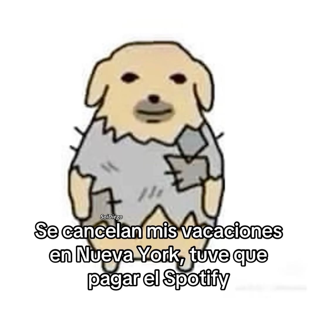 Ojos color sol tweet media