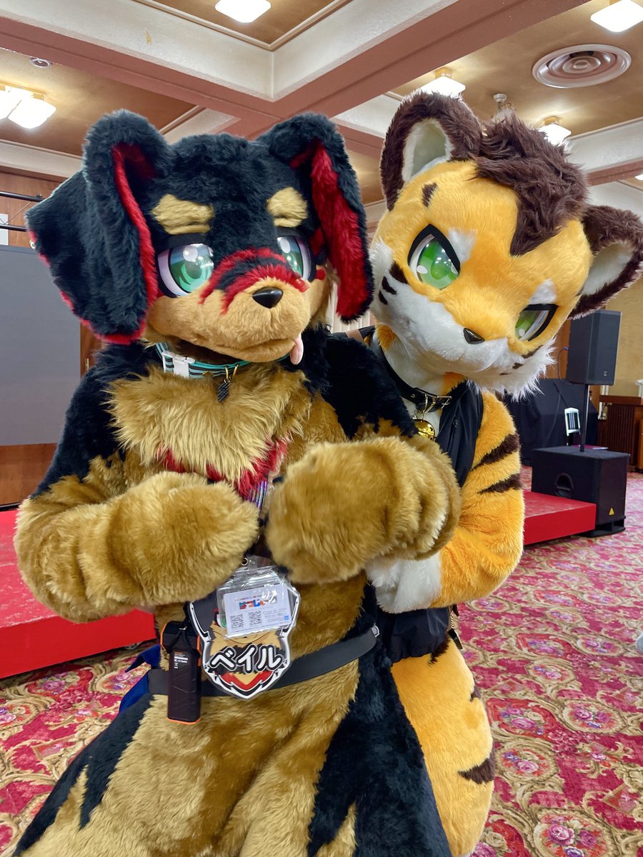 ハムちゃん tweet media