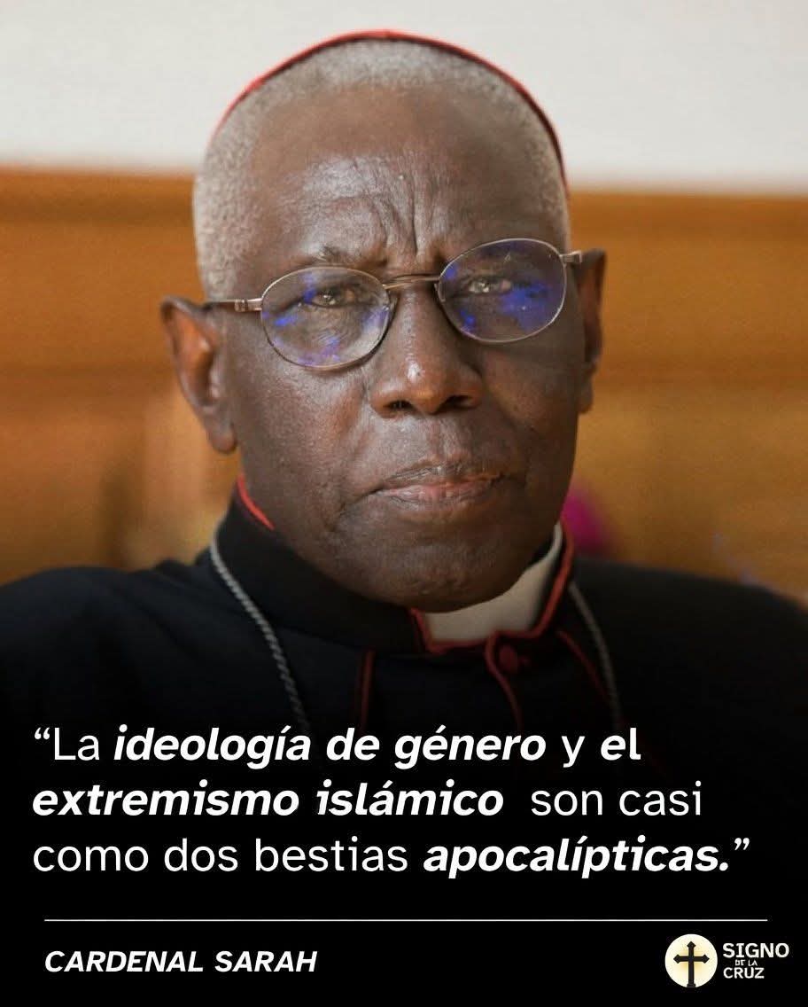 Lucas 🦚🦃🦆 tweet media