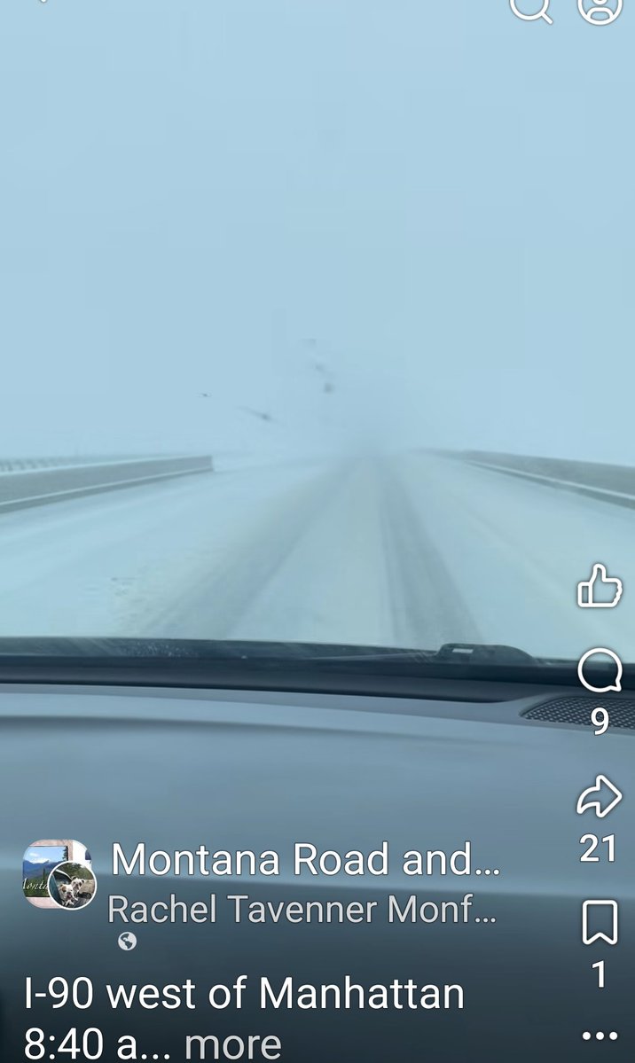 HorsesRGreat tweet media