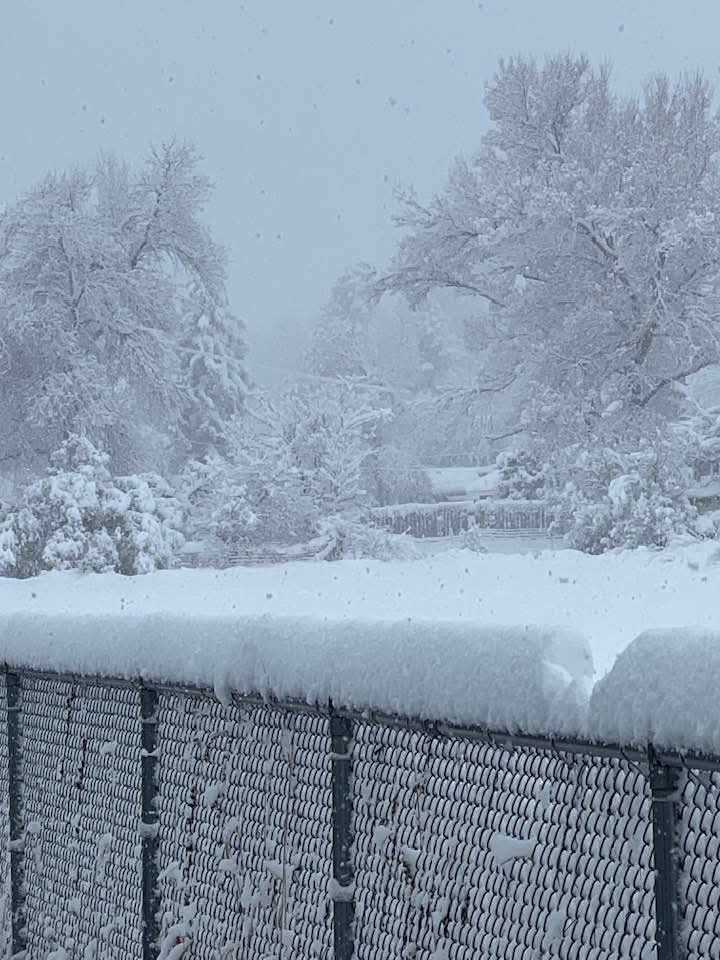 HorsesRGreat tweet media