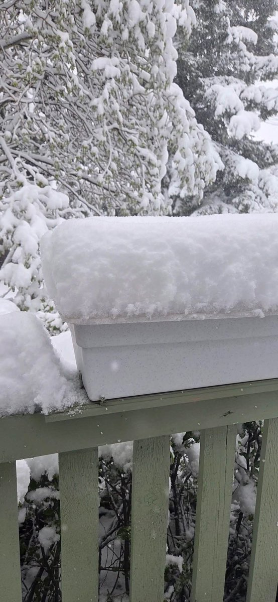 HorsesRGreat tweet media