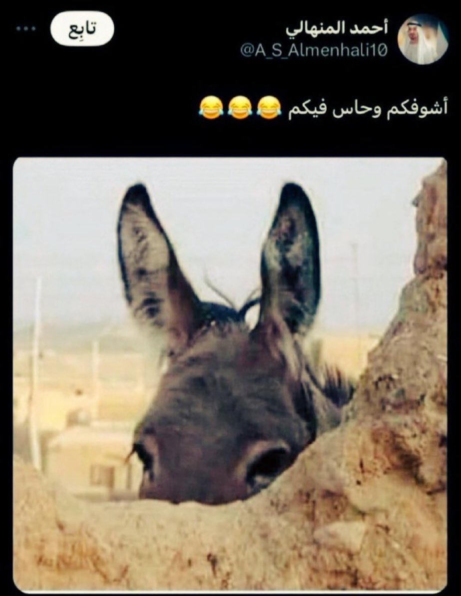 شجاع العتيبي tweet media