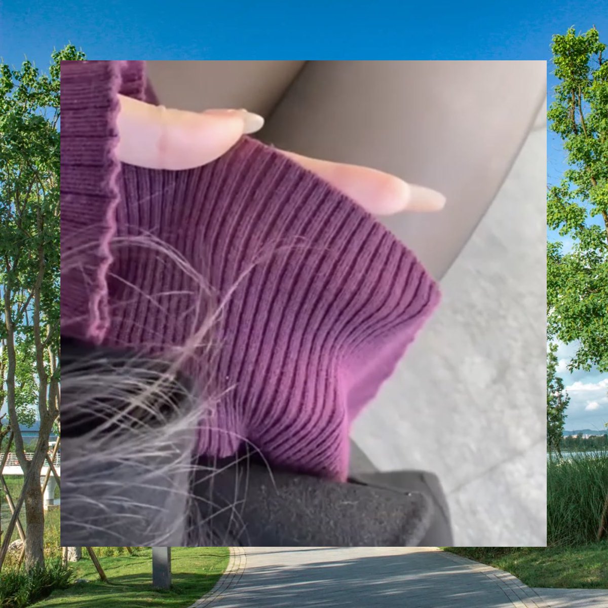 Gary Thompson tweet media