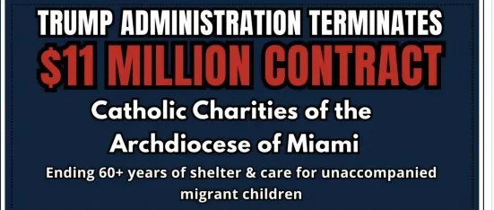 Brown Eyed Susan tweet media