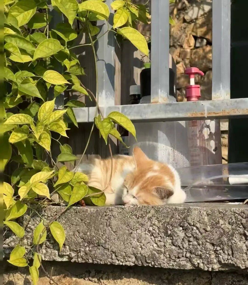 Matthew Cleckler tweet media