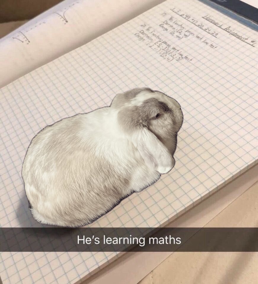 Ruxmew 🍏 tweet media