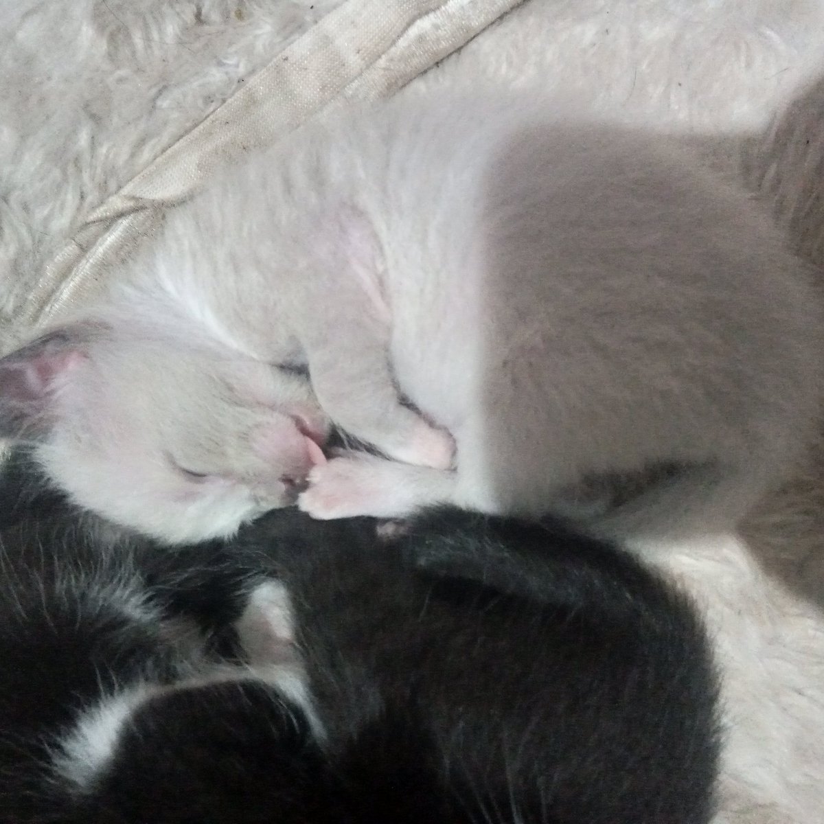 ͏͏ ͏͏ danie ͏͏ ͏͏ tweet media