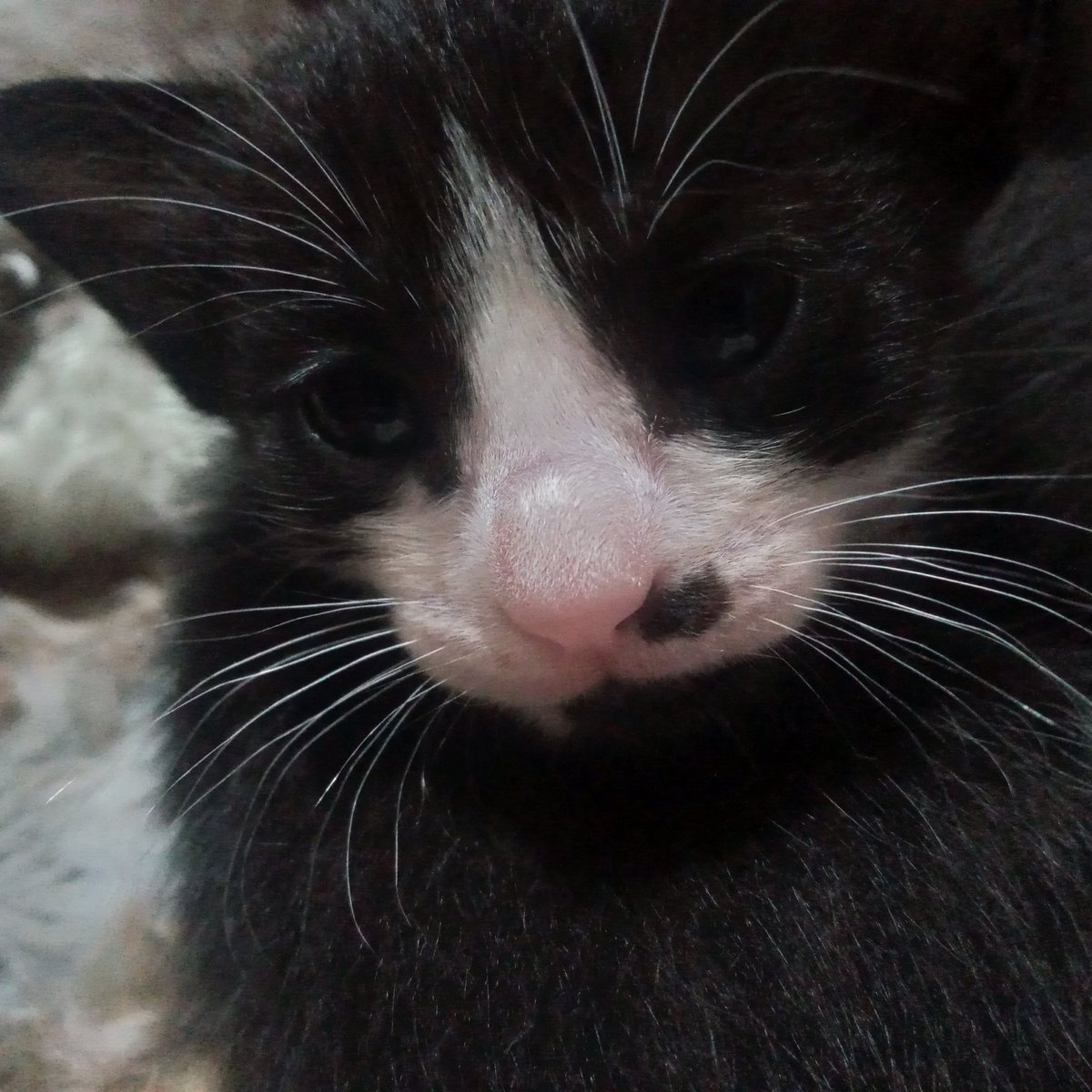 ͏͏ ͏͏ danie ͏͏ ͏͏ tweet media