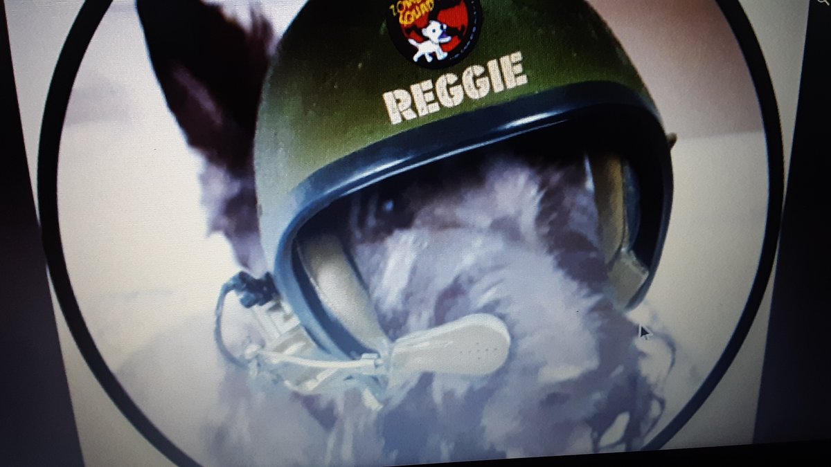 Kami Cairn and WoodenShoe Reggie (OTR Angel 2023) tweet media