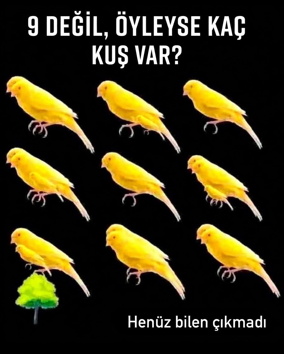 mєdoşᥫ᭡ tweet media