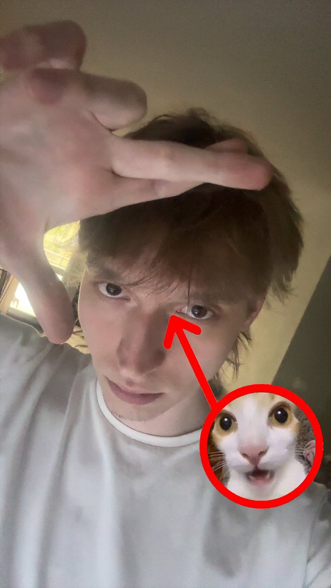 deactivated tweet media