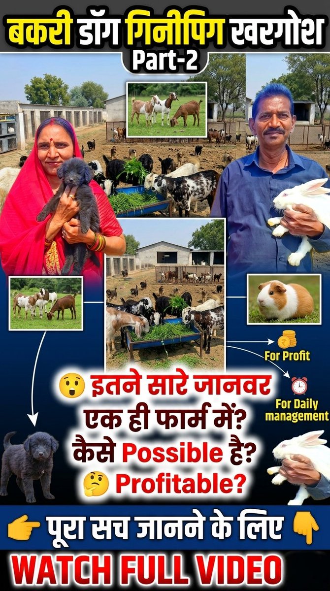 पूरा सच जानने के लिए वीडियो जरूर देखें 👇
youtu.be/x0tFr2Hi31E
😲 इतने सारे जानवर एक ही फार्म में? कैसे possible है!
दोस्तों, इस वीडियो में दिखाया गया है एक ऐसा Integrated Farm जहाँ
🐐 Goat + 🐕 Dog + 🐇 Rabbit + 🐹 Guinea Pig सब एक साथ manage हो रहे हैं!