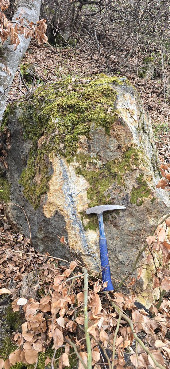 mentordemi's tweet image. Launching Element 51 Resources to capture antimony’s resurgence.
Starting in Eastern 🇽🇰: high-grade history (up to 19.6% Sb), 3km strike with 80% untested, and strong upside in a critical mineral facing global shortages.
Also reviewing assets across 🇲🇰, 🇦🇹 &amp;amp;🇸🇪.
More to come.
#Sb