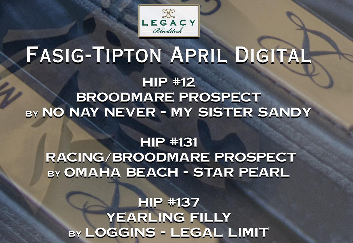 legacybloodstoc's tweet image. 🚨 We're live @FasigTiptonCo April Digital!
🟨 🟩
📰 🎥 &amp;amp; Bidding - bit.ly/LegacyFTAPRDIG…
#LegacyBuilders 🏇 🏆 #FasigDigital