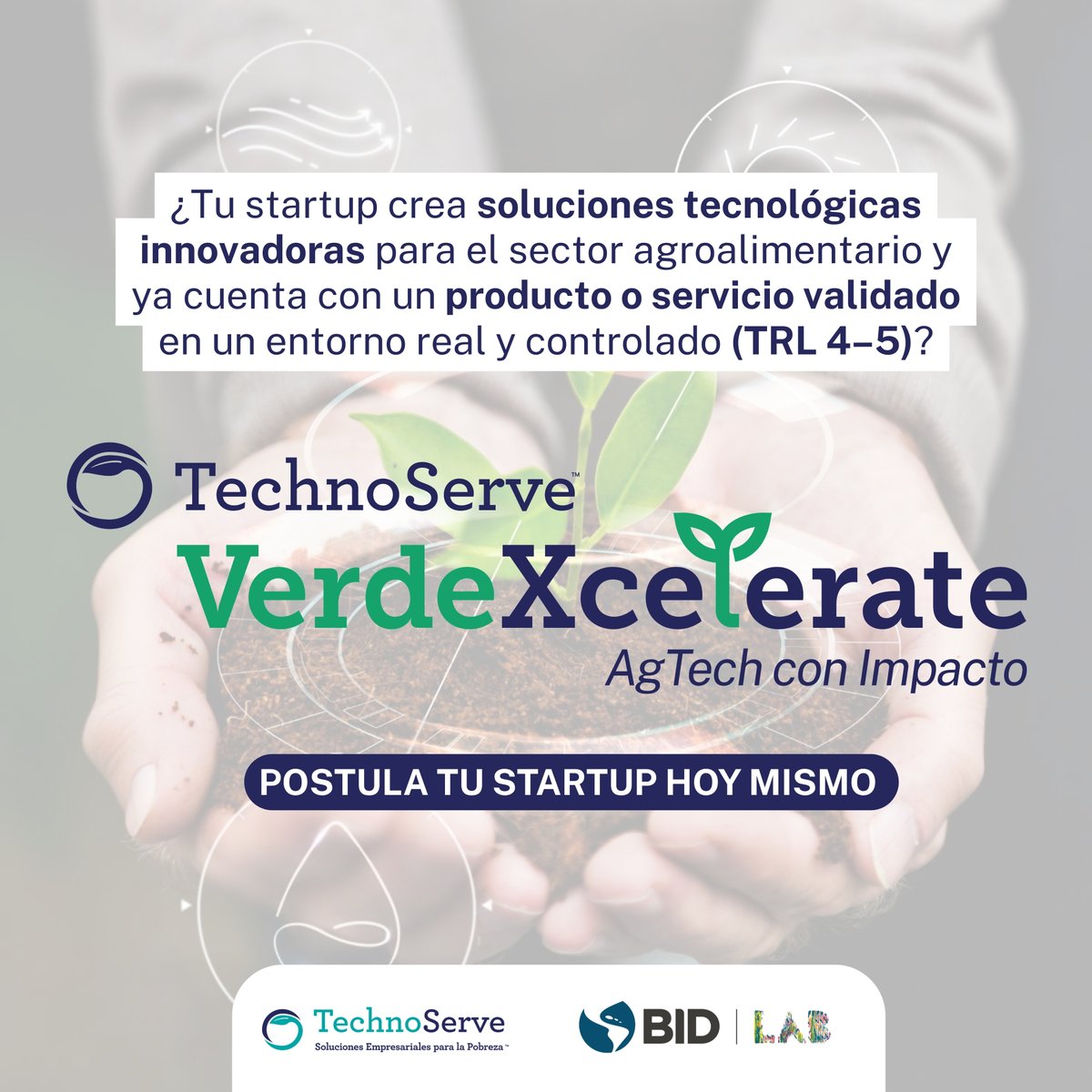 IDB_Lab's tweet image. Las #Startups #Agtech en #Centroamérica y #Colombia ya pueden postular a #VerdeXcelerate.

Un programa regional de @TechnoServe y @IDB_Lab que conecta startups con inversionistas, empresas y centros de investigación para escalar #Soluciones en #Agricultura.

Postula ahora: