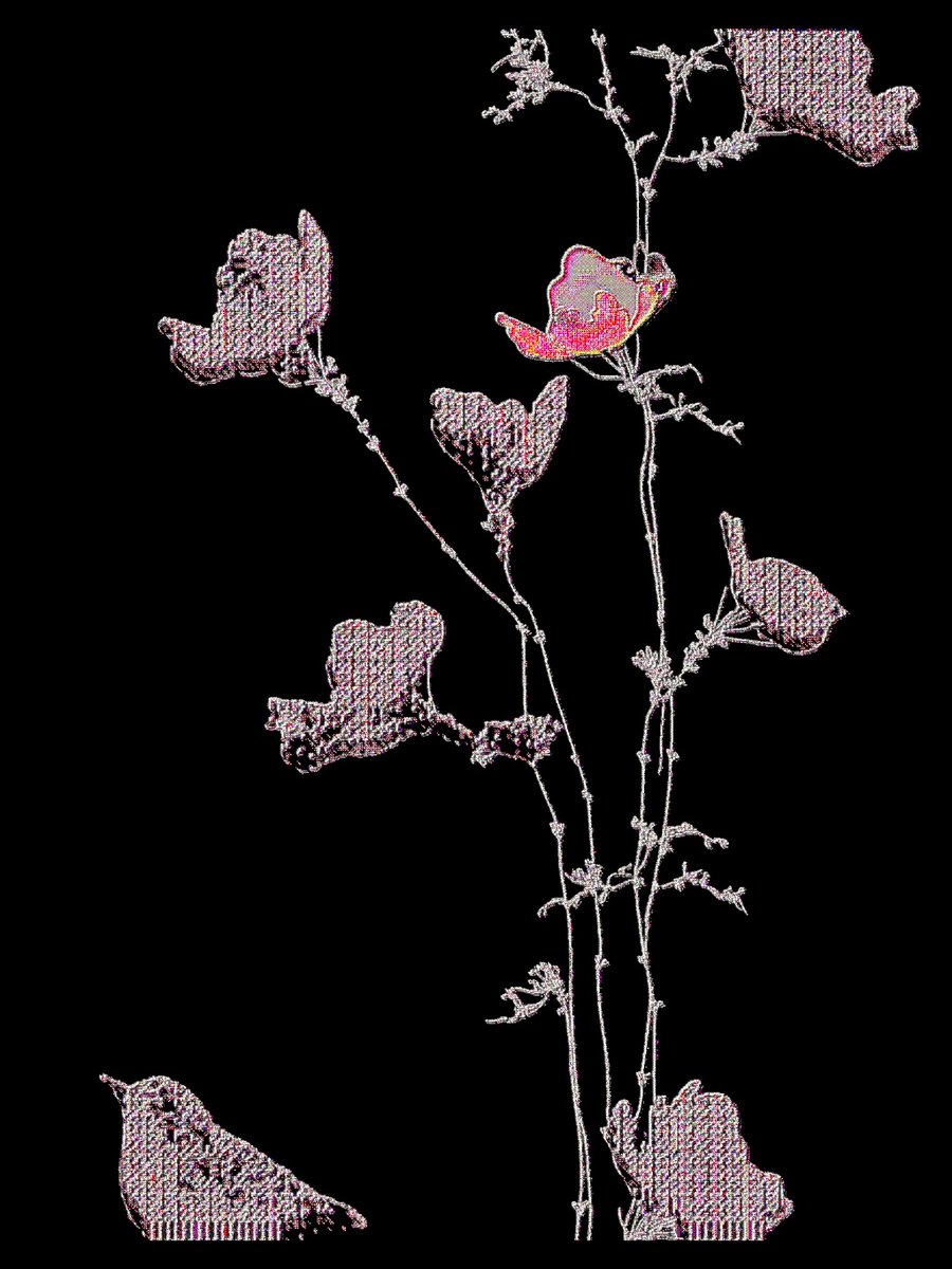 cubedekant's tweet image. 'Glitch Herbarium III' by Lena Ekert @BreathlesssAsh

(Still from animation)

available to view and collect:
objkt.com/curations/objk…

P I X E L I S M #4 gruop show is curated by KANT @jemappellekant, presented by Cube DeKant @cubedekant.

#pixelism #tezos #object #nft