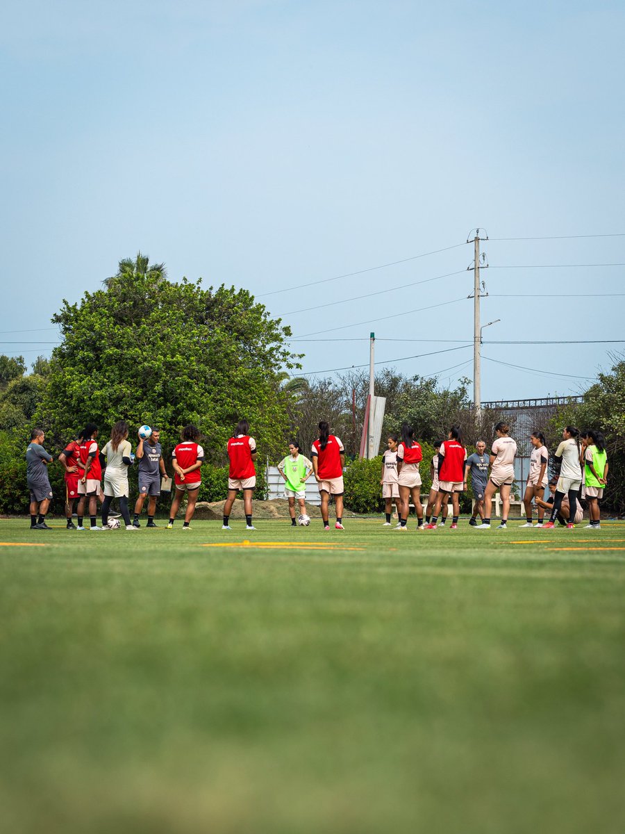 Fútbol Femenino de Universitario tweet media