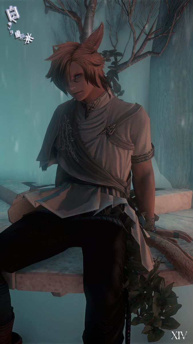 黒禰🜸🐇 tweet media