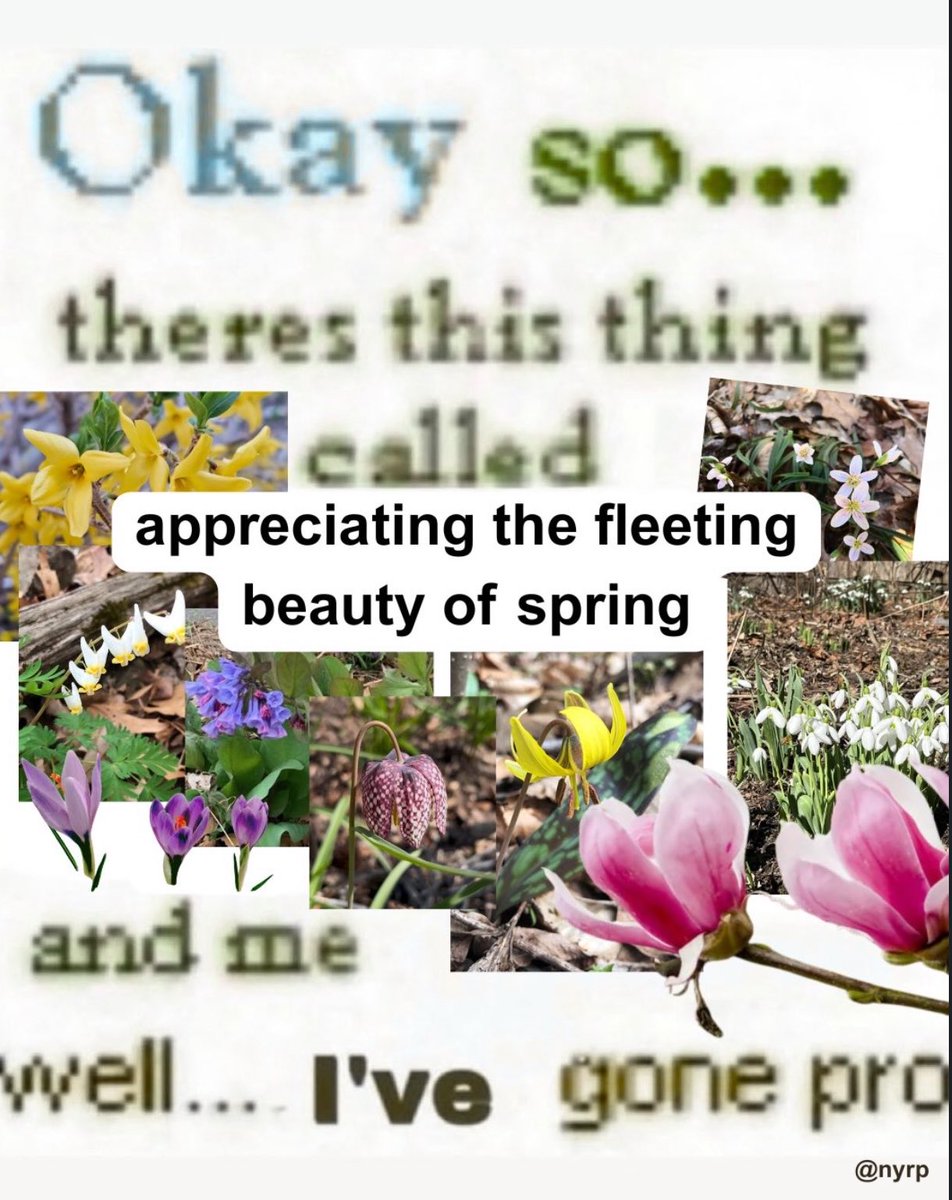 The Notorious J.O.V. tweet media