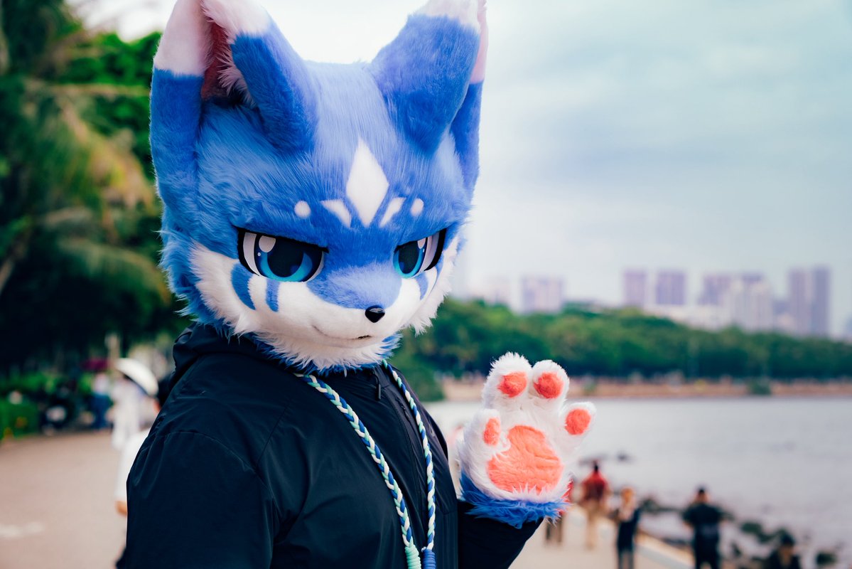 青衿思 tweet media