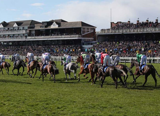 🐦Pigeon🐎Island🐦 tweet media