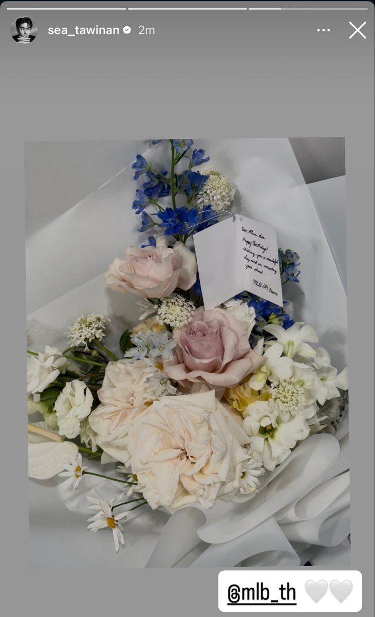 marmoris. tweet media