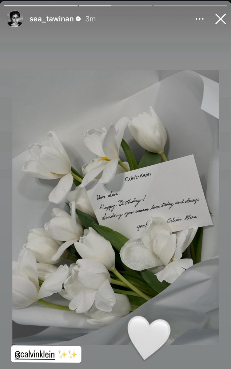 marmoris. tweet media