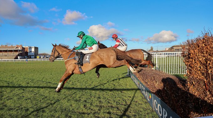 🐦Pigeon🐎Island🐦 tweet media