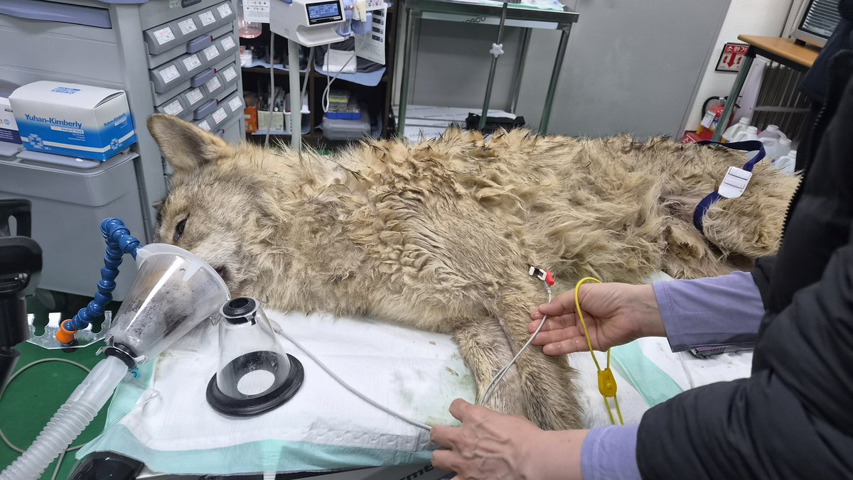 ๋์ ๊ด์ญ์ tweet media