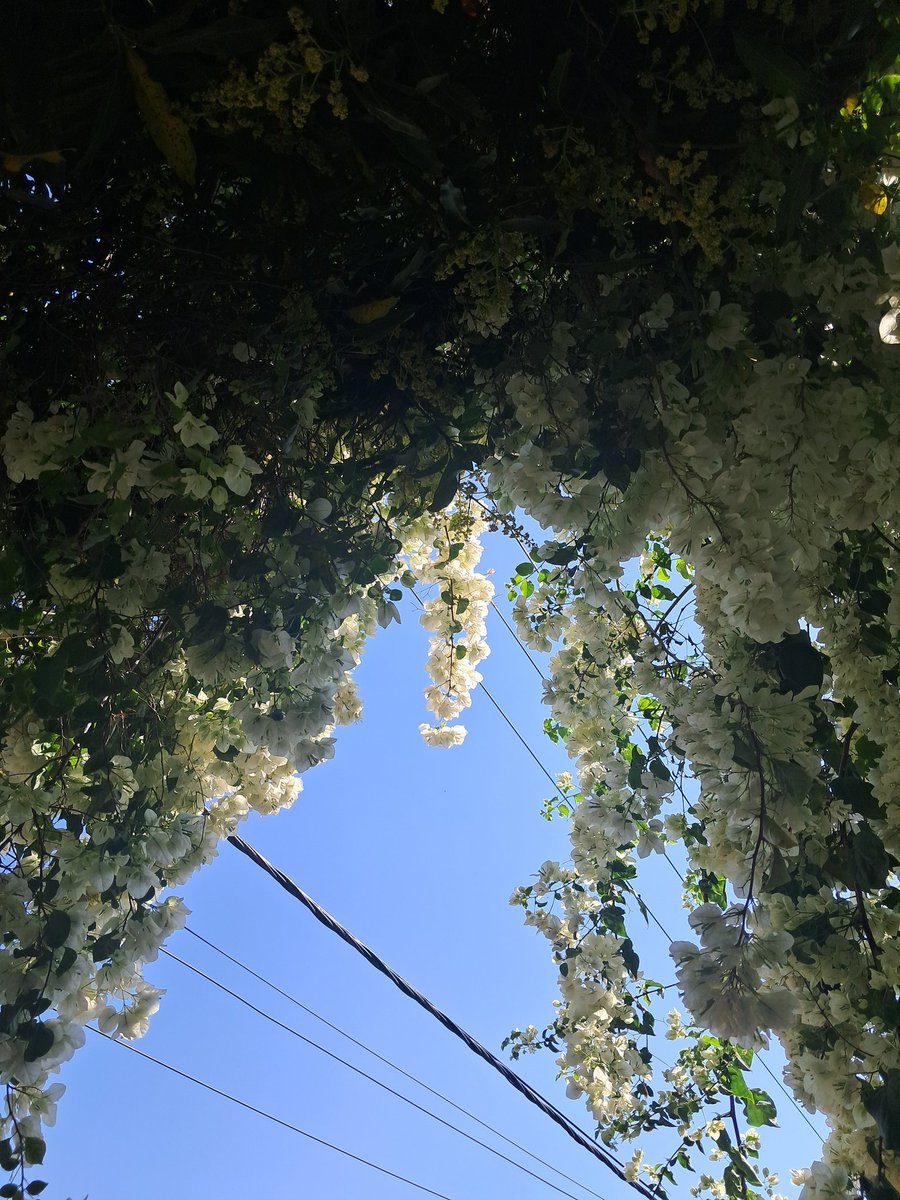 unna-tea tweet media