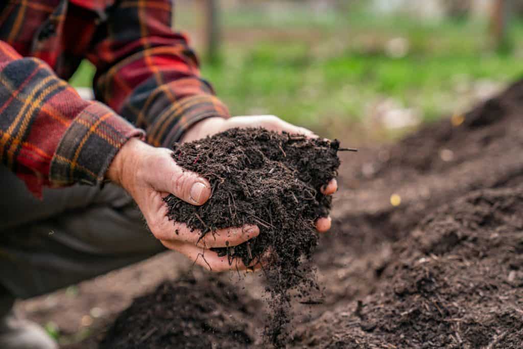 DisposeWisely's tweet photo. It's compost season. Help us create good compost and keep food out of the landfill. Drop off your food waste with us! #Disposewisely https://t.co/o9POEqaeV8