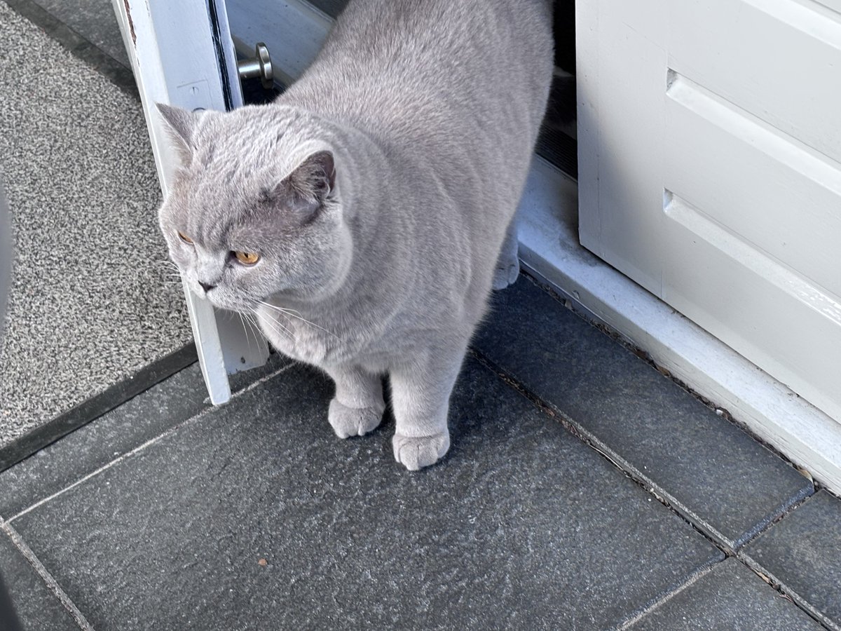 👑Colossus (Woods🌈) tweet media